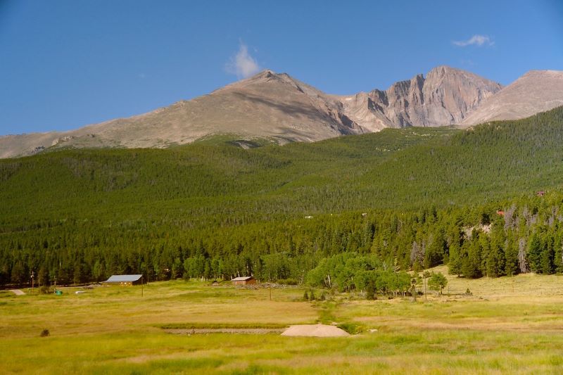 Open grassy plain turning to green forest and stark gray mountains in the background.